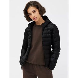 Aritzia Tna Bontani puffer